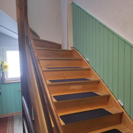 Kleine Gemuetliche Wohnung Zwickau Eksteriør billede