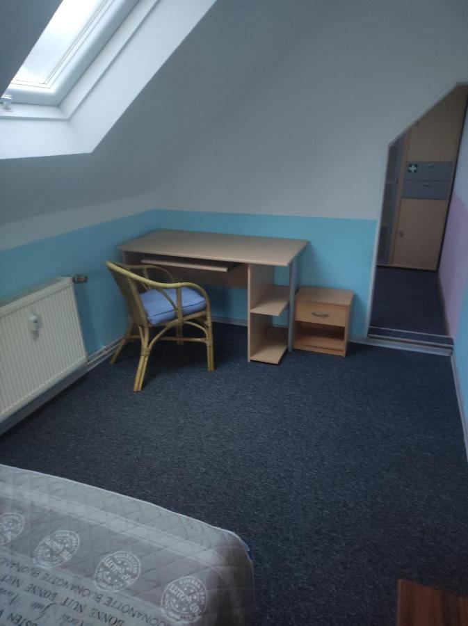 Kleine Gemuetliche Wohnung Zwickau Eksteriør billede