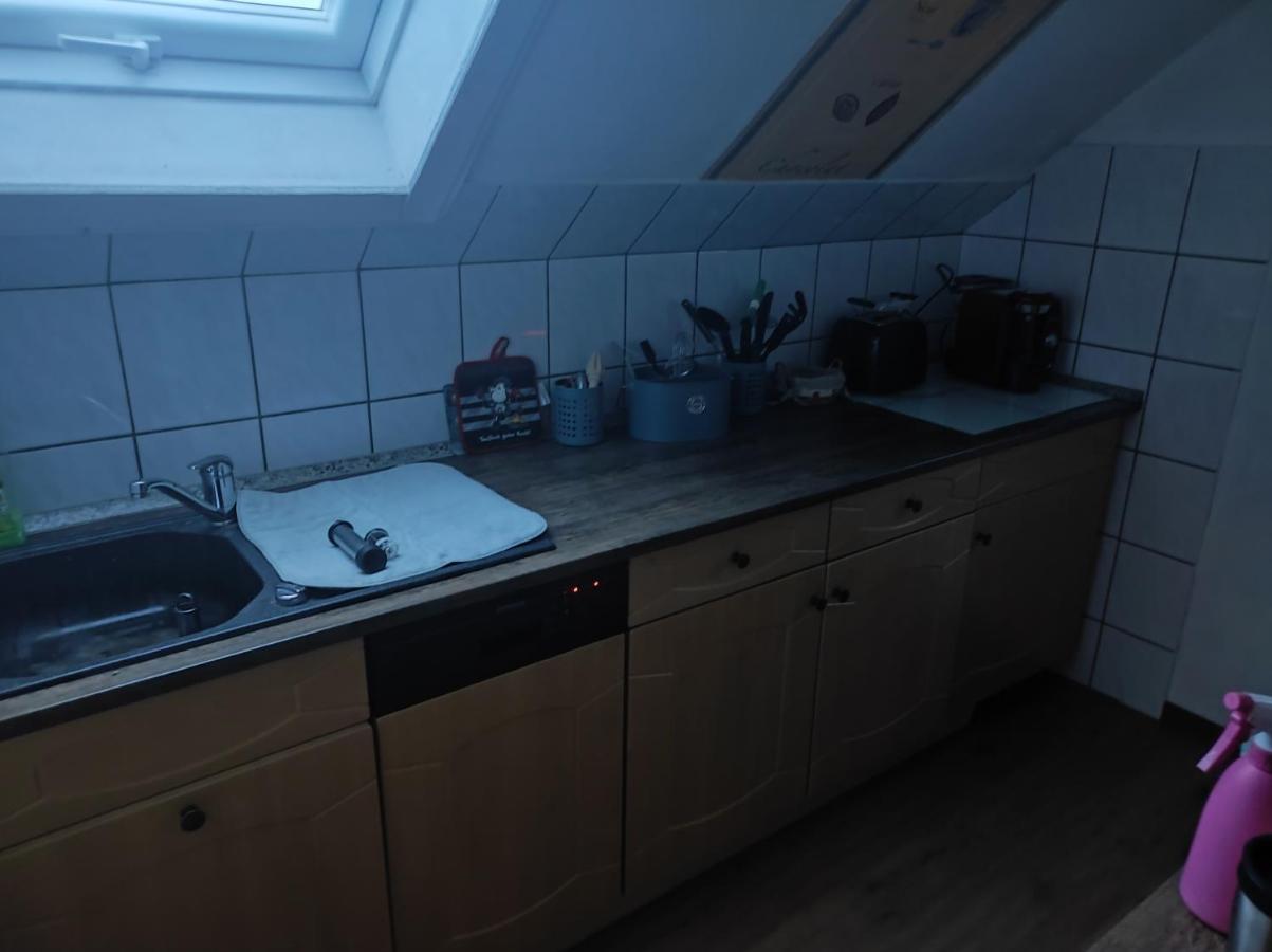 Kleine Gemuetliche Wohnung Zwickau Eksteriør billede