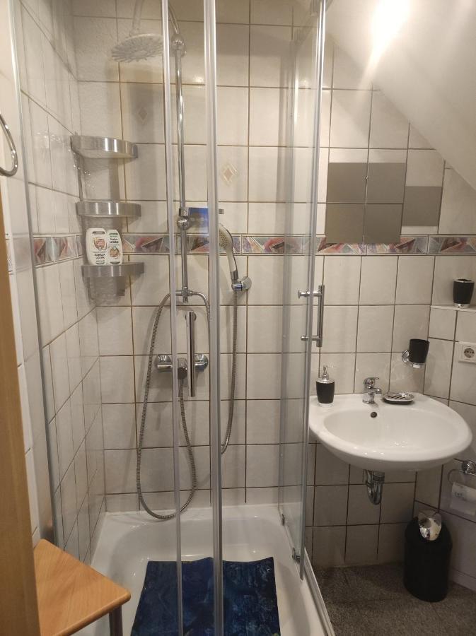 Kleine Gemuetliche Wohnung Zwickau Eksteriør billede