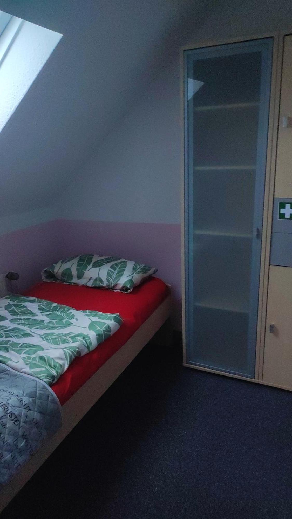 Kleine Gemuetliche Wohnung Zwickau Eksteriør billede