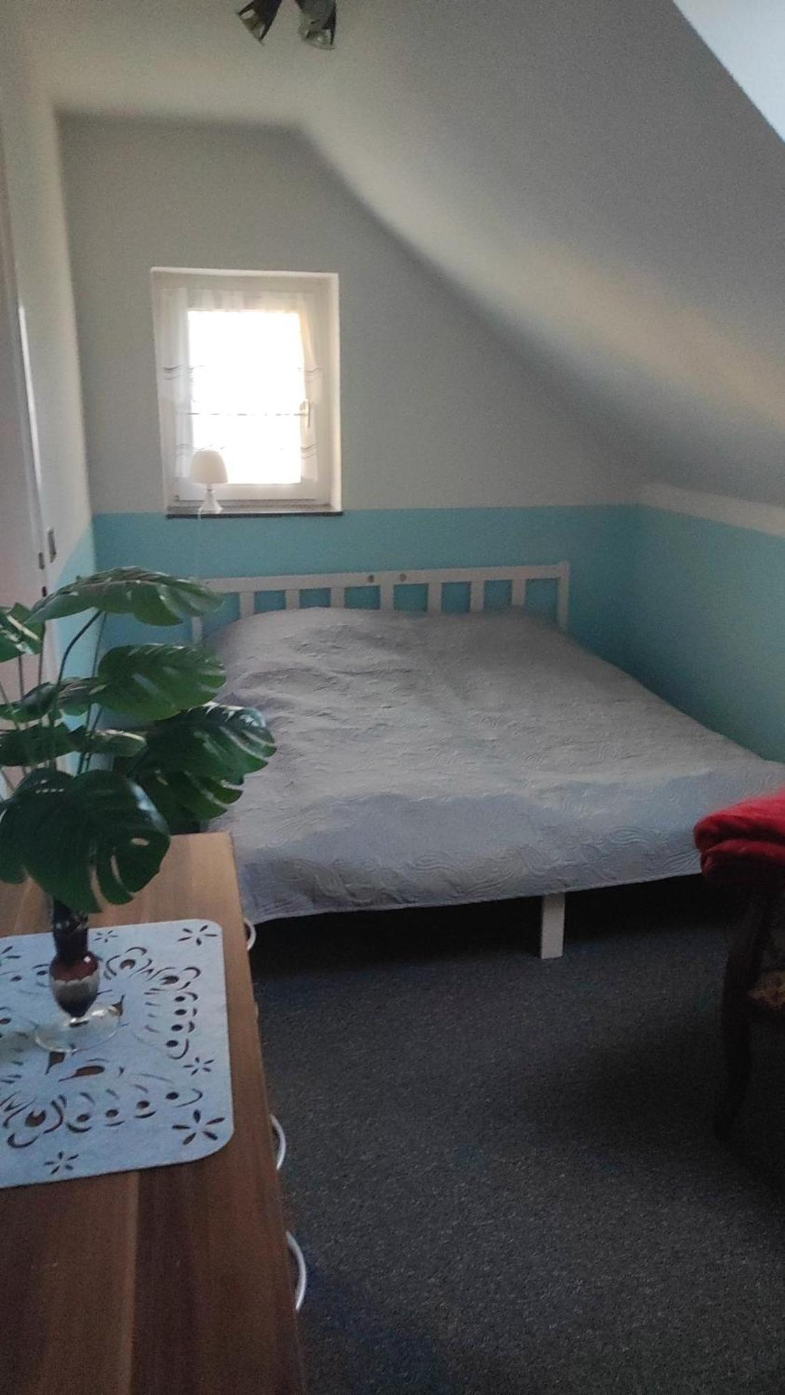 Kleine Gemuetliche Wohnung Zwickau Eksteriør billede